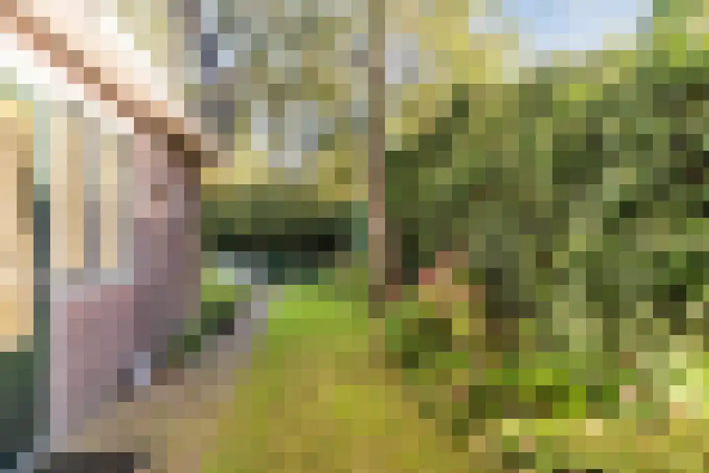 Oisterwijksebaan 174 Tilburg thumbnail 44