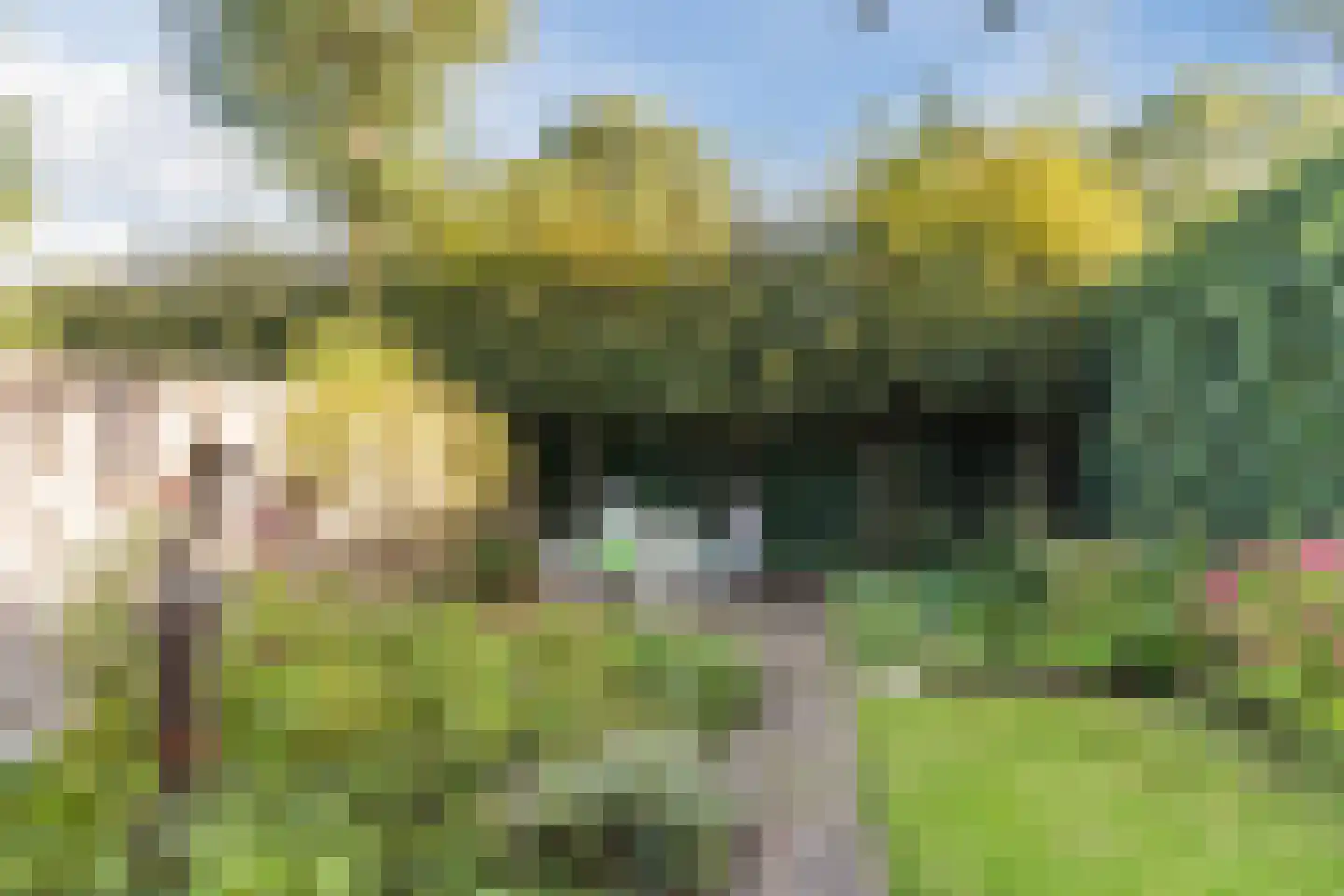 Oisterwijksebaan 174 Tilburg thumbnail 46
