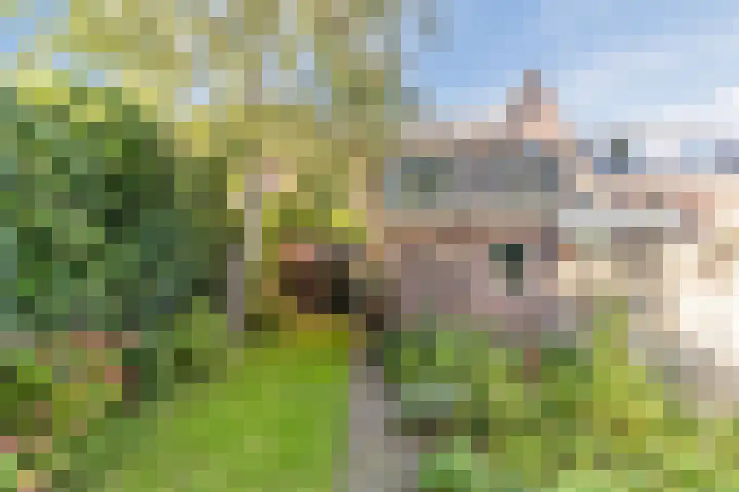Oisterwijksebaan 174 Tilburg thumbnail 47