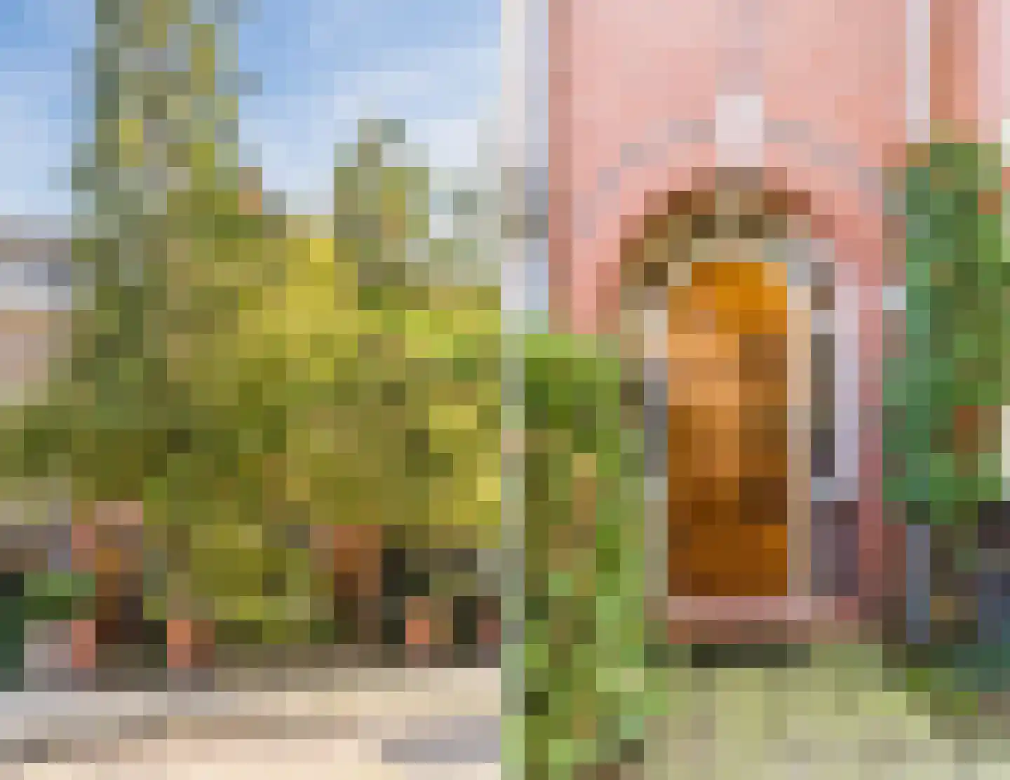 Oisterwijksebaan 174 Tilburg thumbnail 48