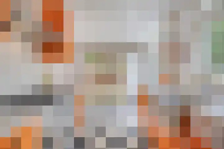 Oisterwijksebaan 176 Tilburg thumbnail 13