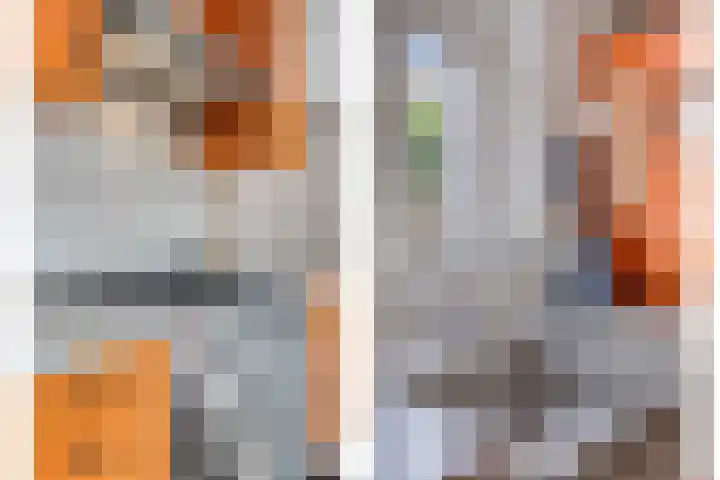 Oisterwijksebaan 176 Tilburg thumbnail 14