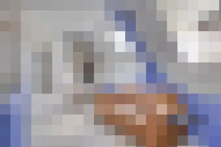 Oisterwijksebaan 176 Tilburg thumbnail 25