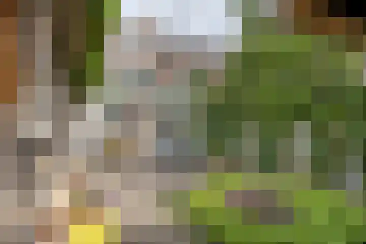 Oisterwijksebaan 176 Tilburg thumbnail 32