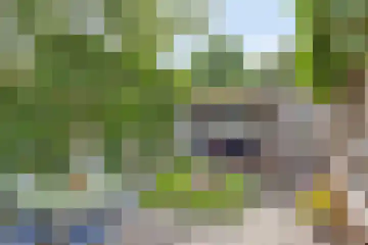 Oisterwijksebaan 176 Tilburg thumbnail 34