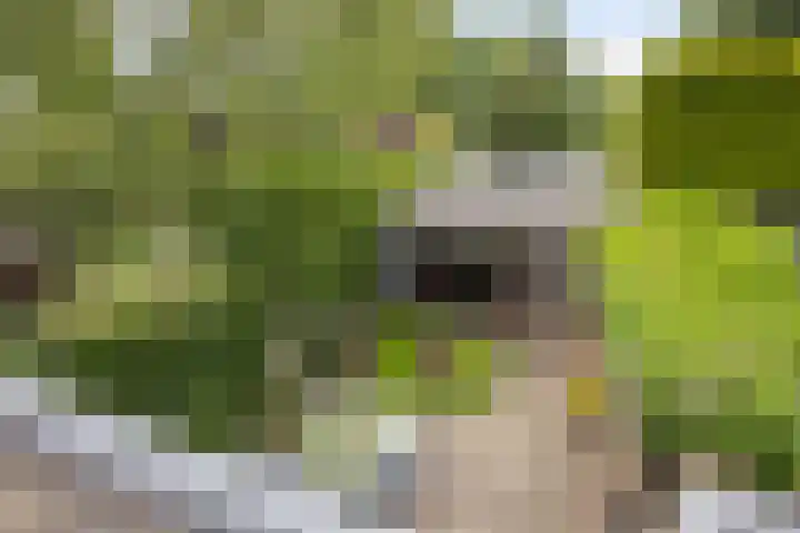 Oisterwijksebaan 176 Tilburg thumbnail 35