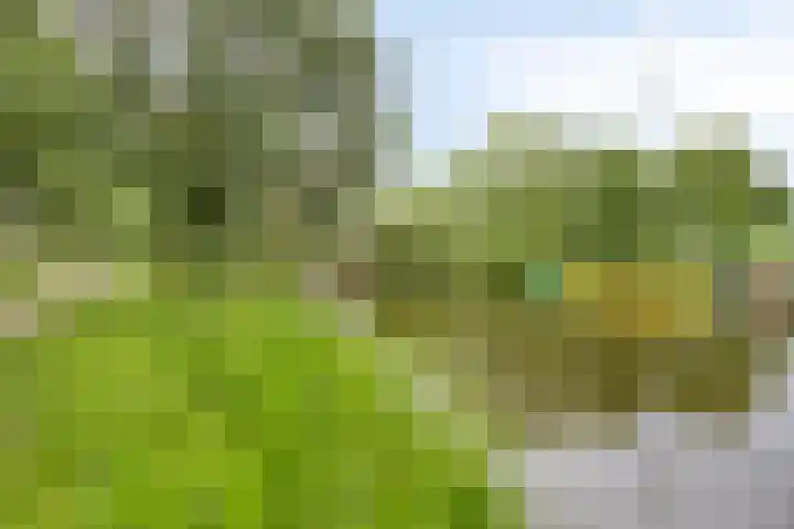 Oisterwijksebaan 176 Tilburg thumbnail 40