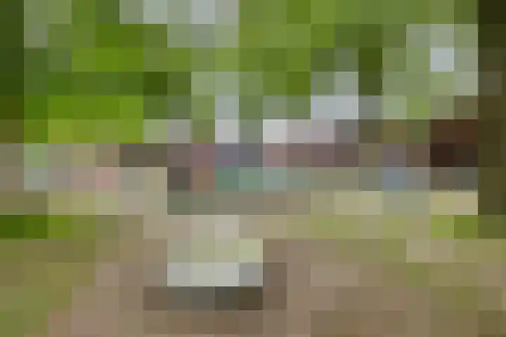 Oisterwijksebaan 176 Tilburg thumbnail 41