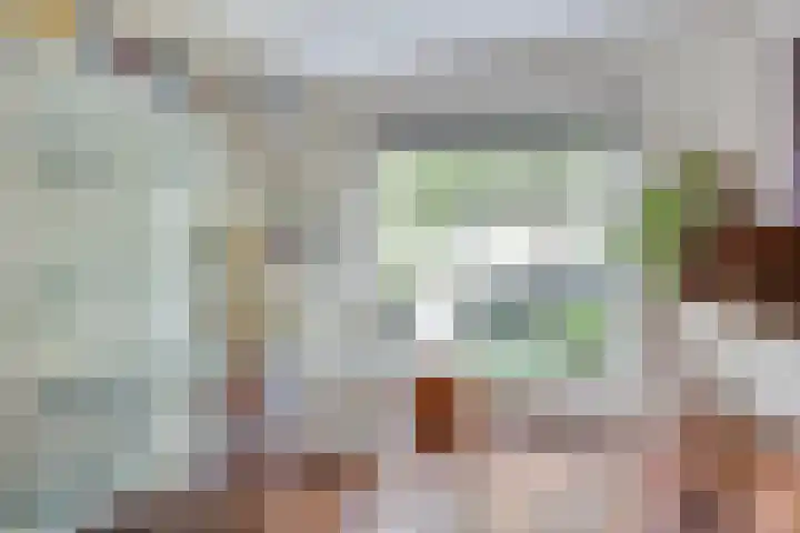 Oisterwijksebaan 176 Tilburg thumbnail 6