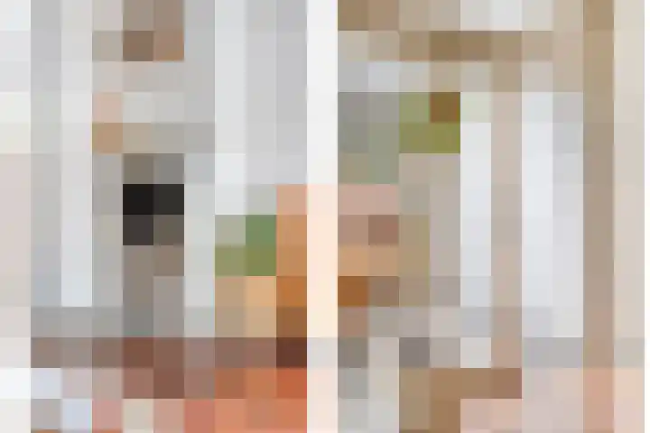 Oisterwijksebaan 176 Tilburg thumbnail 8
