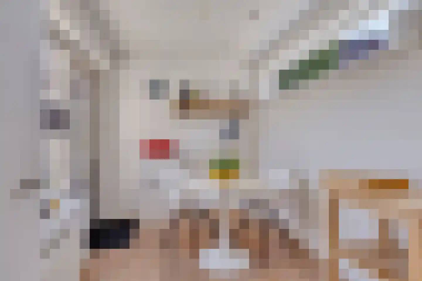 Oisterwijksebaan 80 Tilburg thumbnail 17