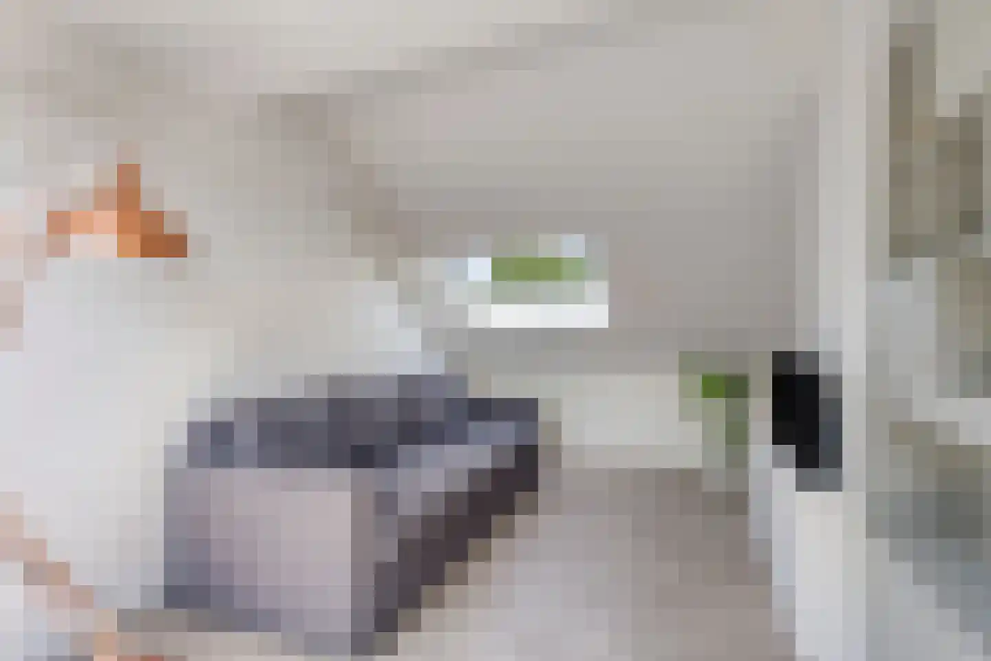 Oisterwijksebaan 80 Tilburg thumbnail 27