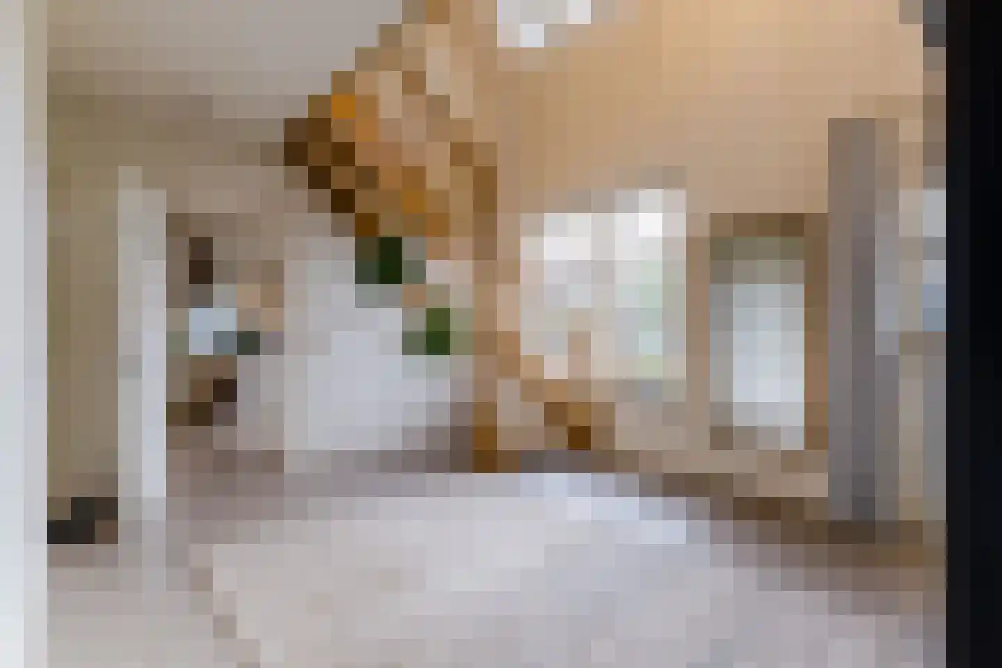 Oisterwijksebaan 9 Tilburg thumbnail 10