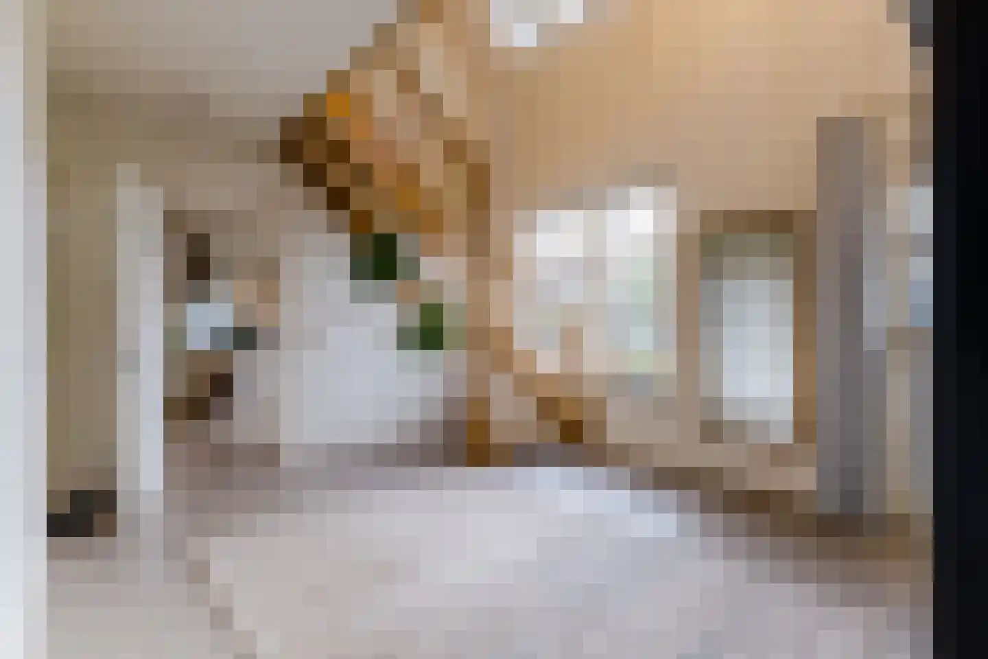 Oisterwijksebaan 9 Tilburg thumbnail 10