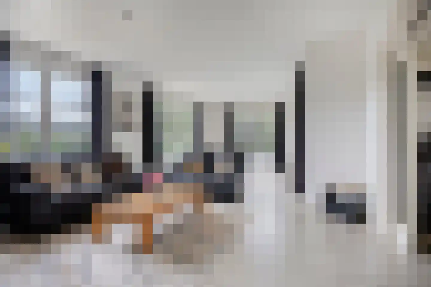 Oisterwijksebaan 9 Tilburg thumbnail 12