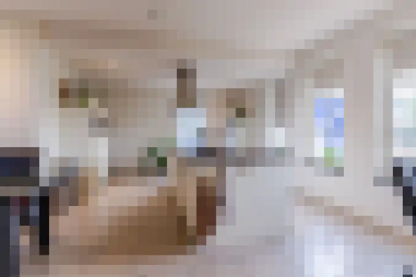 Oisterwijksebaan 9 Tilburg thumbnail 12