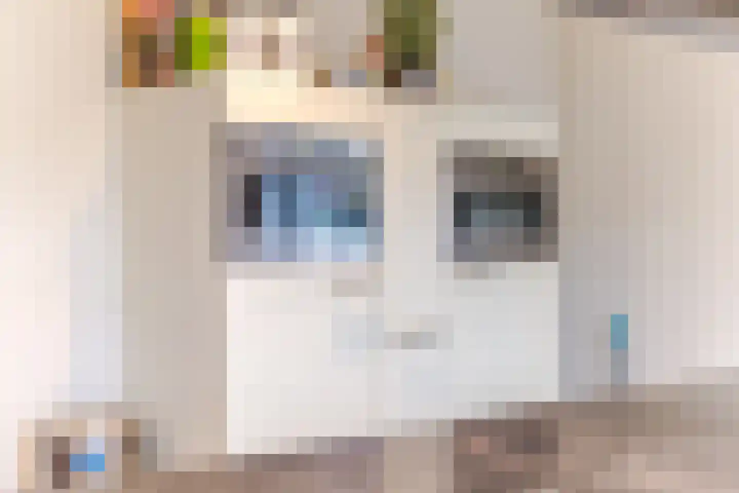 Oisterwijksebaan 9 Tilburg thumbnail 16