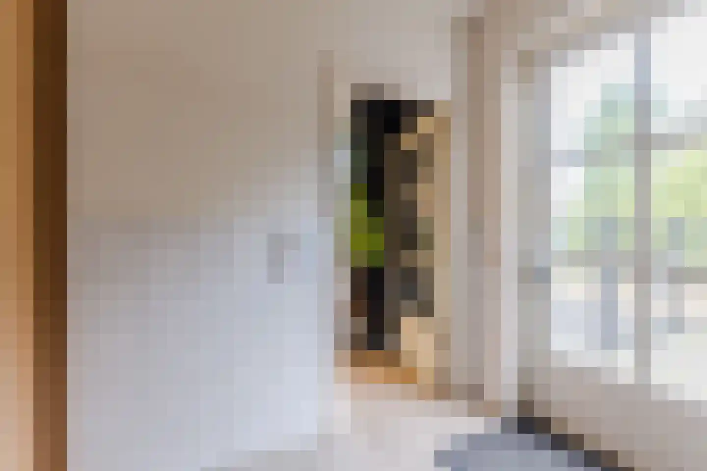 Oisterwijksebaan 9 Tilburg thumbnail 21