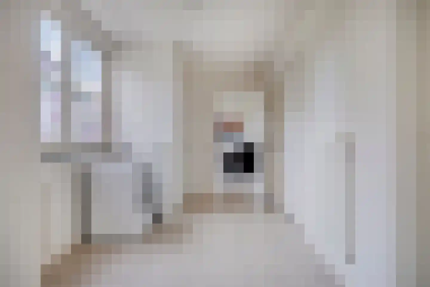 Oisterwijksebaan 9 Tilburg thumbnail 22