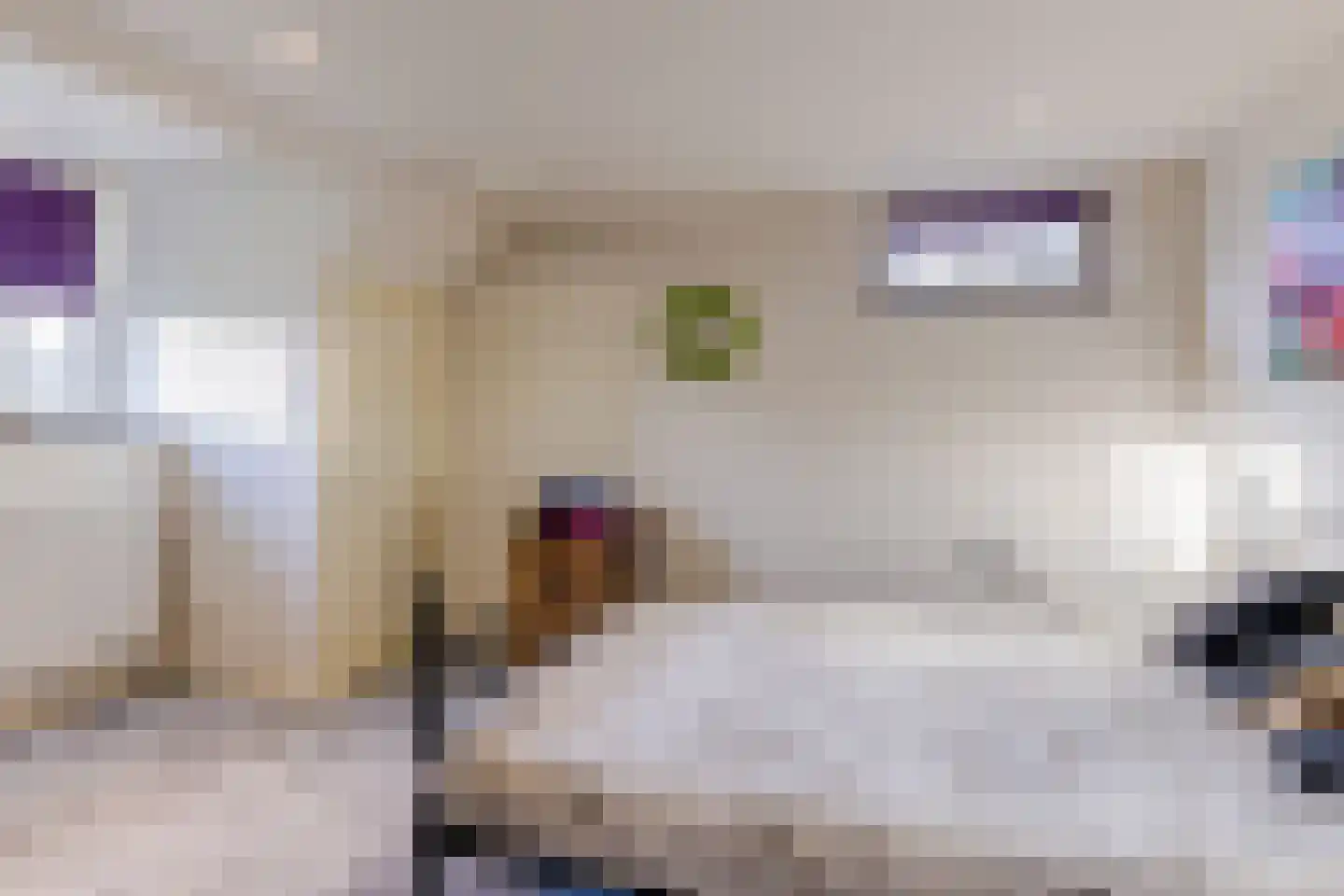 Oisterwijksebaan 9 Tilburg thumbnail 27