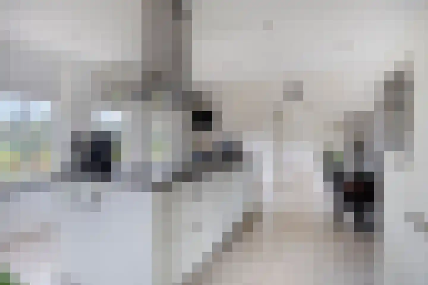 Oisterwijksebaan 9 Tilburg thumbnail 29