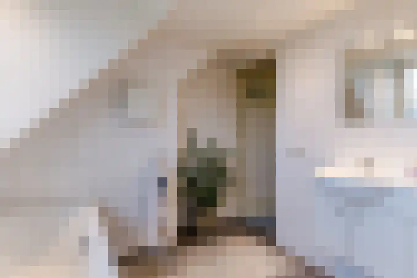 Oisterwijksebaan 9 Tilburg thumbnail 32