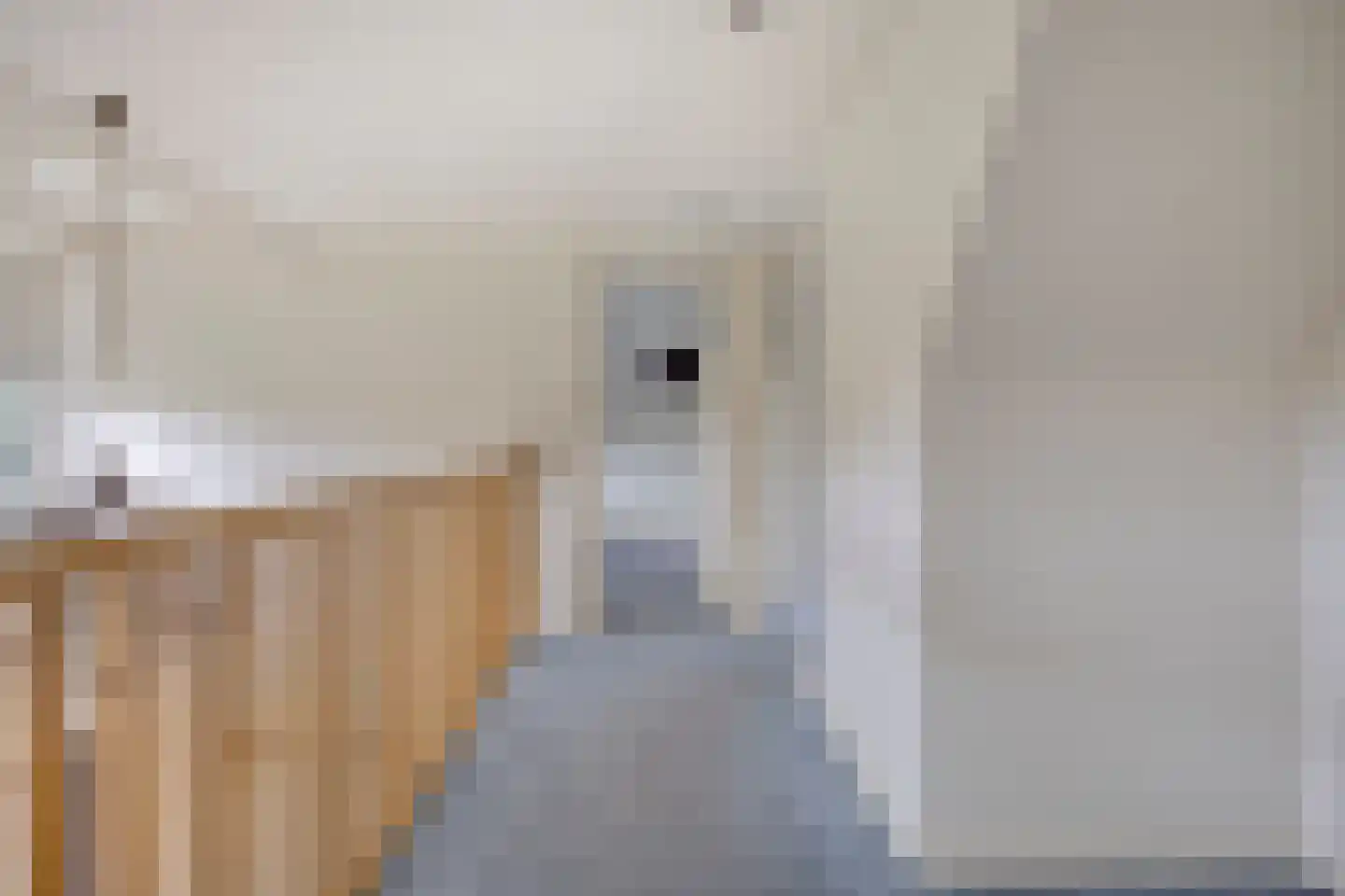 Oisterwijksebaan 9 Tilburg thumbnail 32