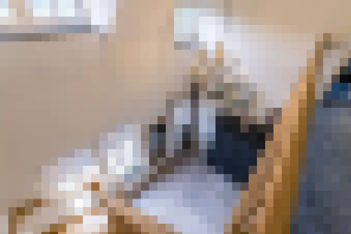 Oisterwijksebaan 9 Tilburg thumbnail 36