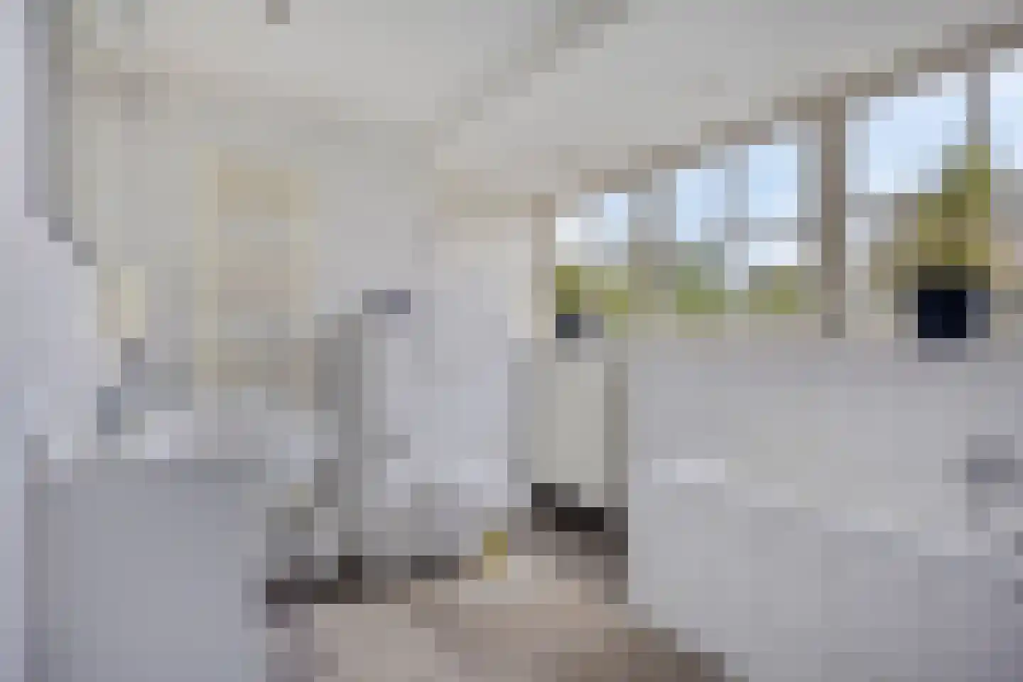 Oisterwijksebaan 9 Tilburg thumbnail 38
