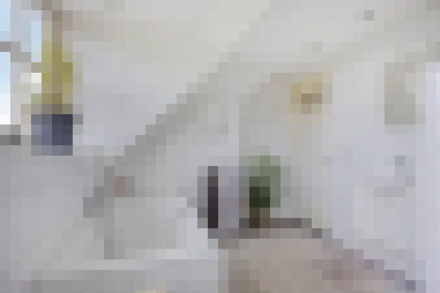 Oisterwijksebaan 9 Tilburg thumbnail 40