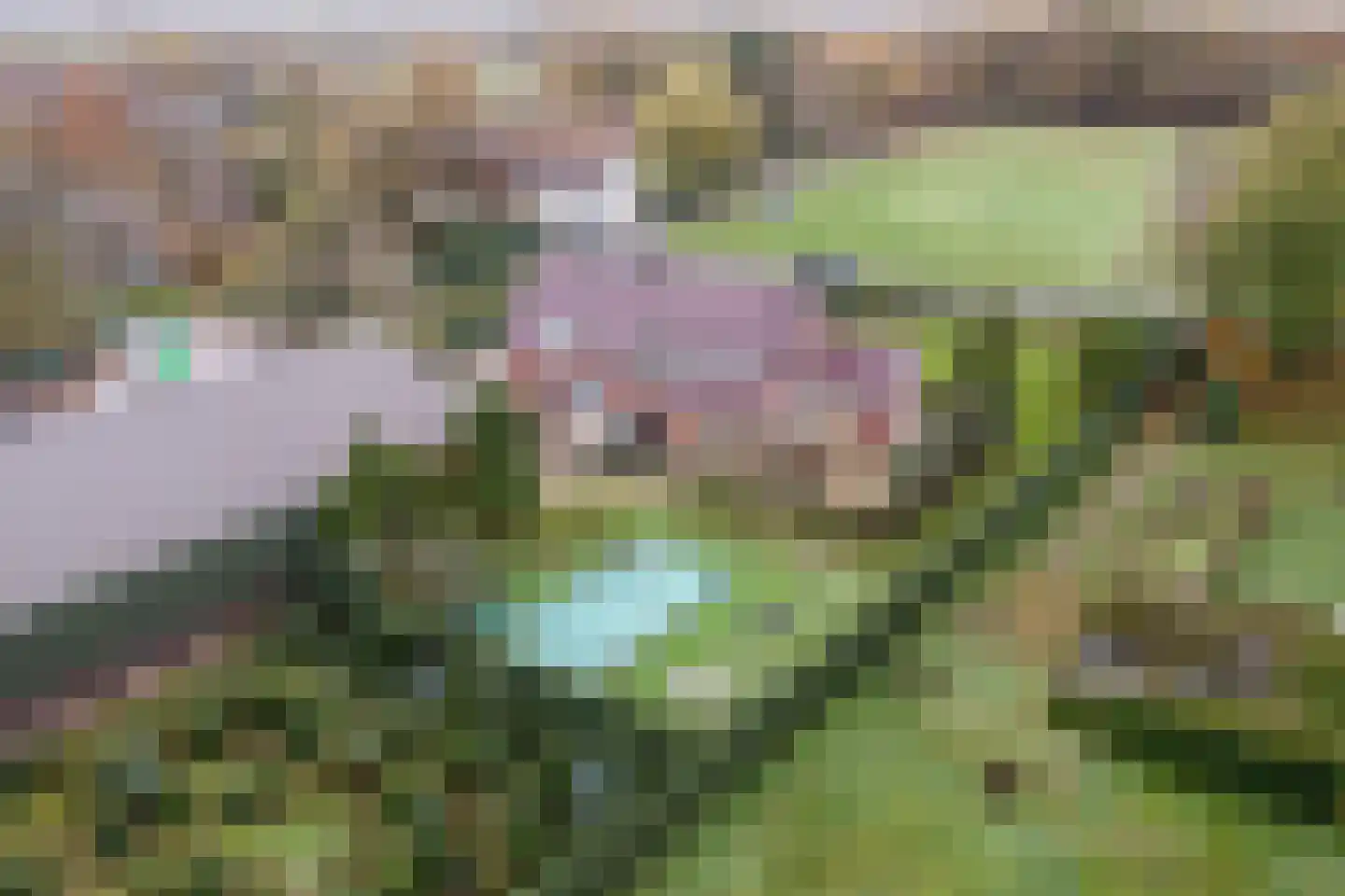 Oisterwijksebaan 9 Tilburg thumbnail 45