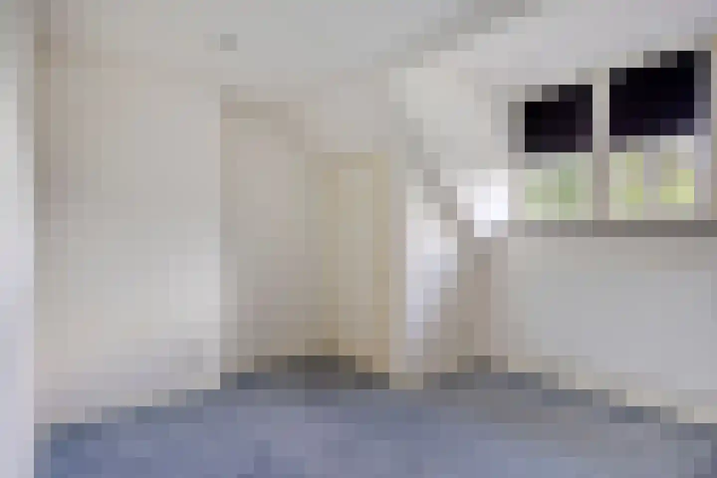 Oisterwijksebaan 9 Tilburg thumbnail 45