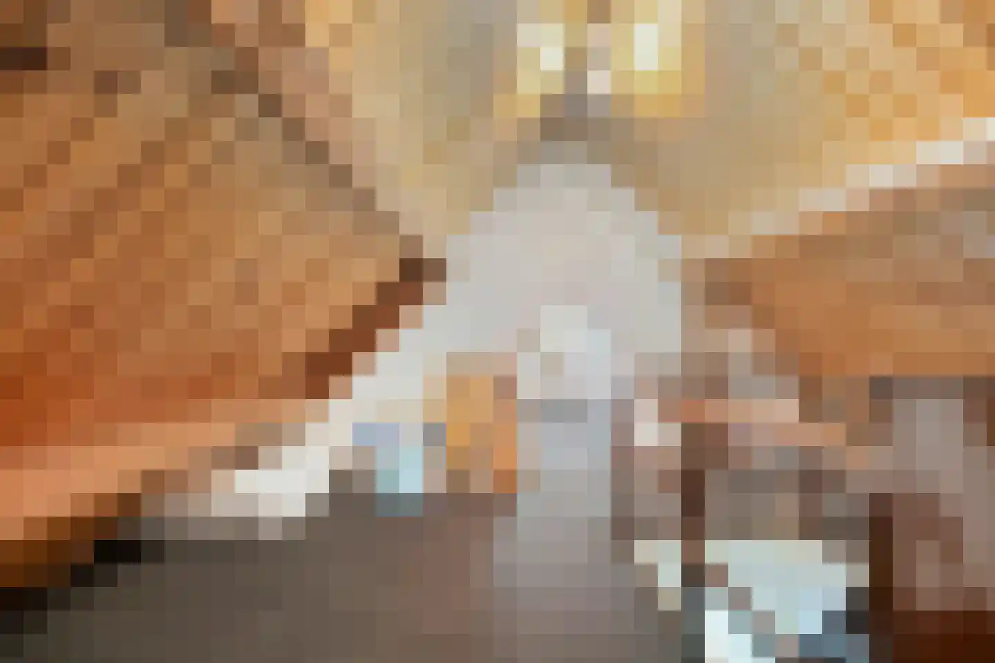 Oisterwijksebaan 9 Tilburg thumbnail 48