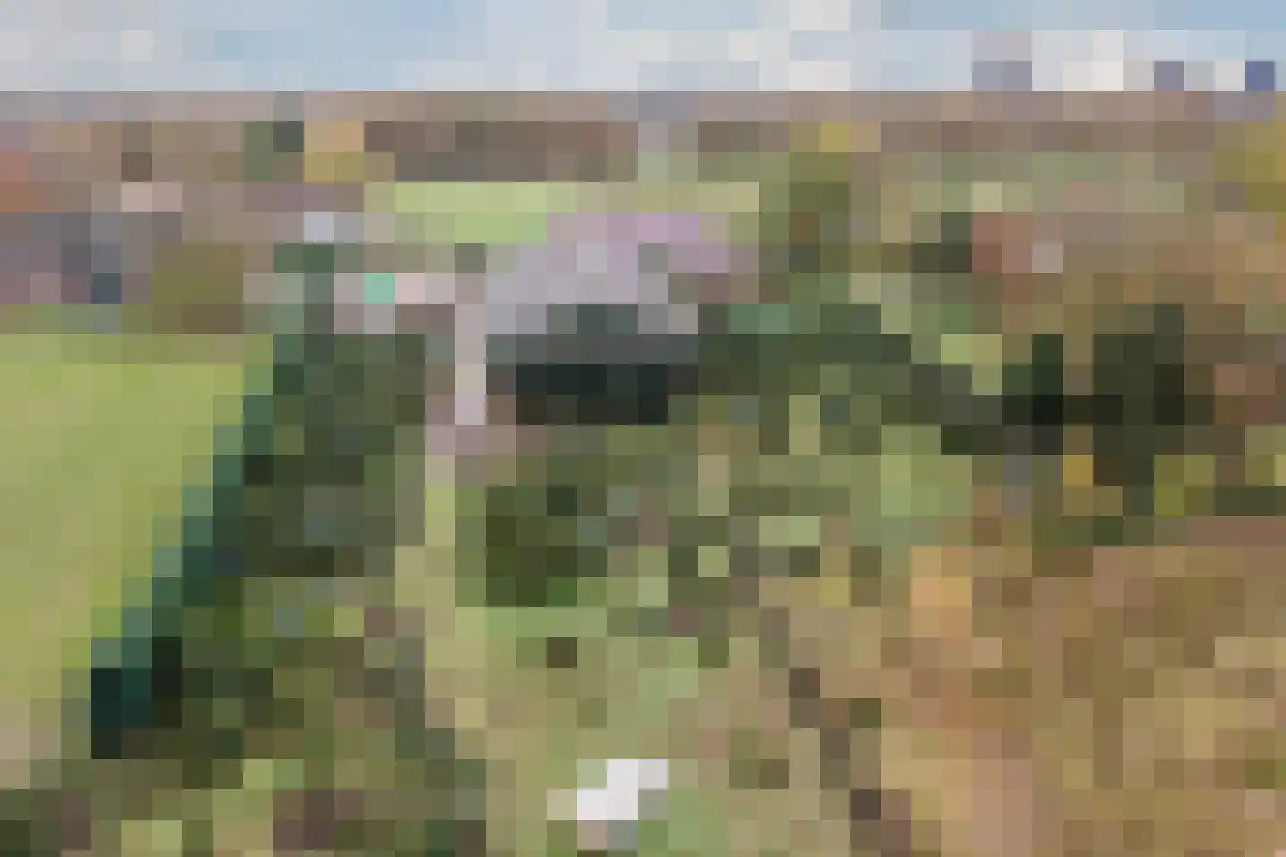 Oisterwijksebaan 9 Tilburg thumbnail 49