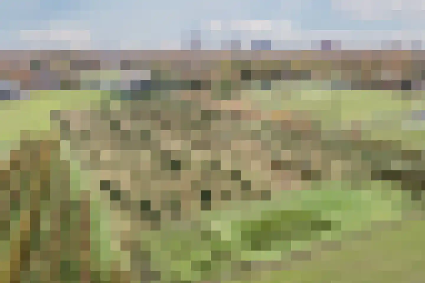 Oisterwijksebaan 9 Tilburg thumbnail 50