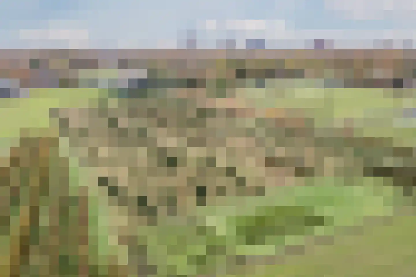 Oisterwijksebaan 9 Tilburg thumbnail 50