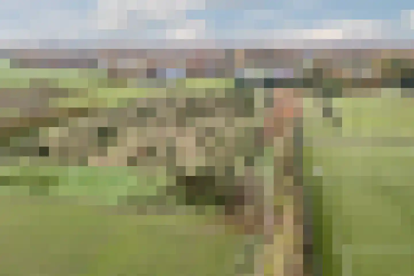 Oisterwijksebaan 9 Tilburg thumbnail 51