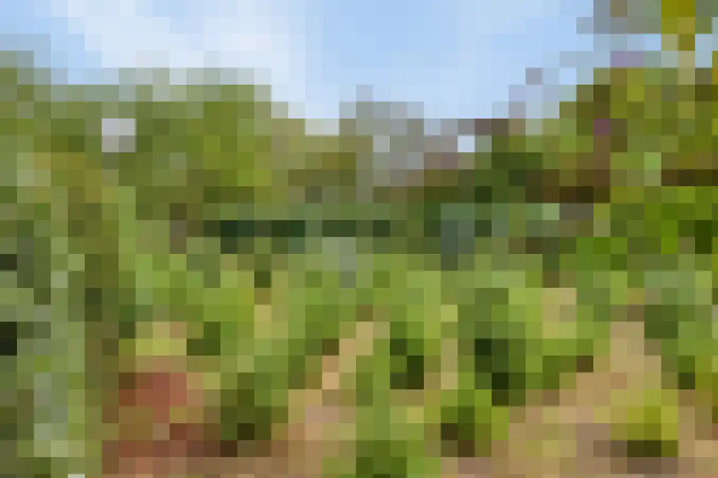 Oisterwijksebaan 9 Tilburg thumbnail 52