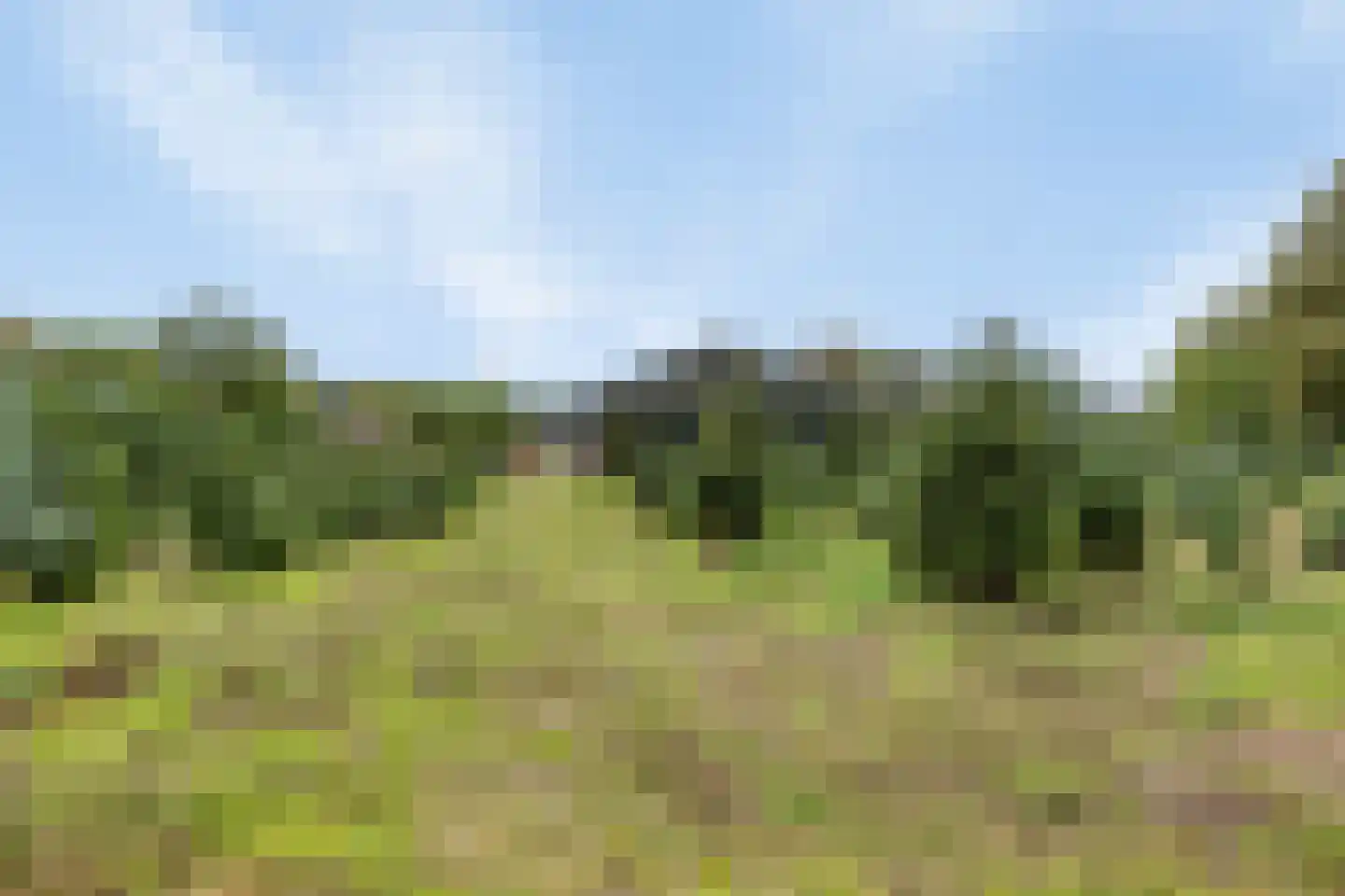 Oisterwijksebaan 9 Tilburg thumbnail 53