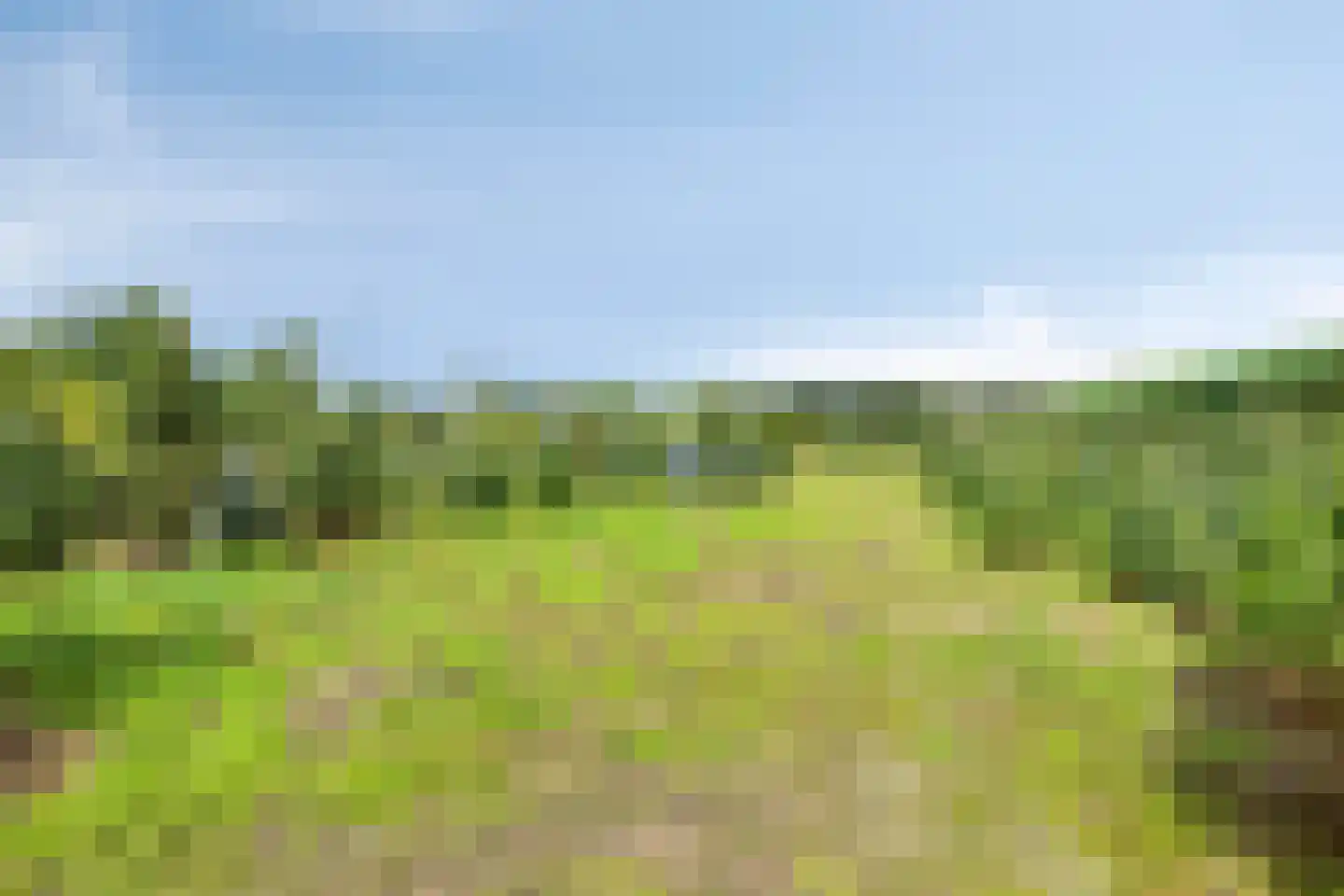 Oisterwijksebaan 9 Tilburg thumbnail 54