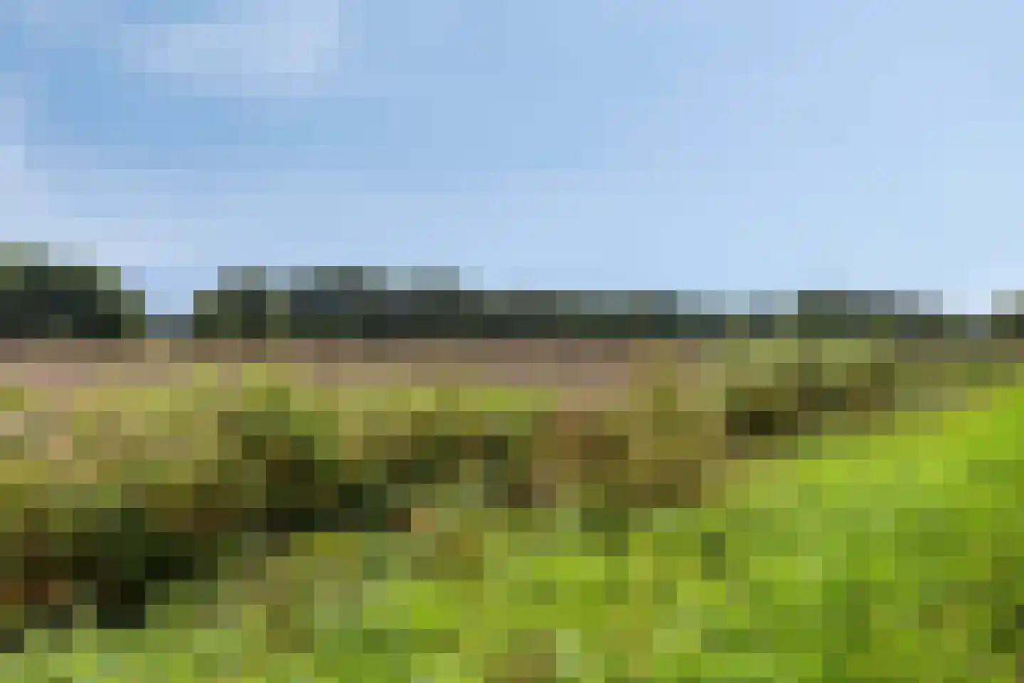 Oisterwijksebaan 9 Tilburg thumbnail 56