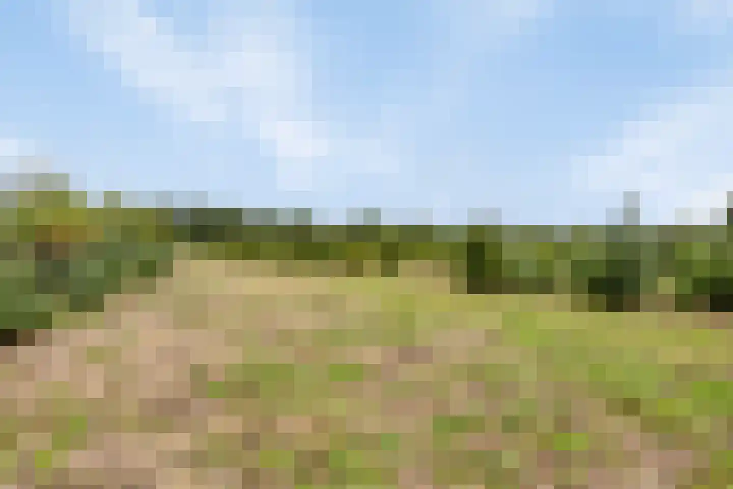 Oisterwijksebaan 9 Tilburg thumbnail 6