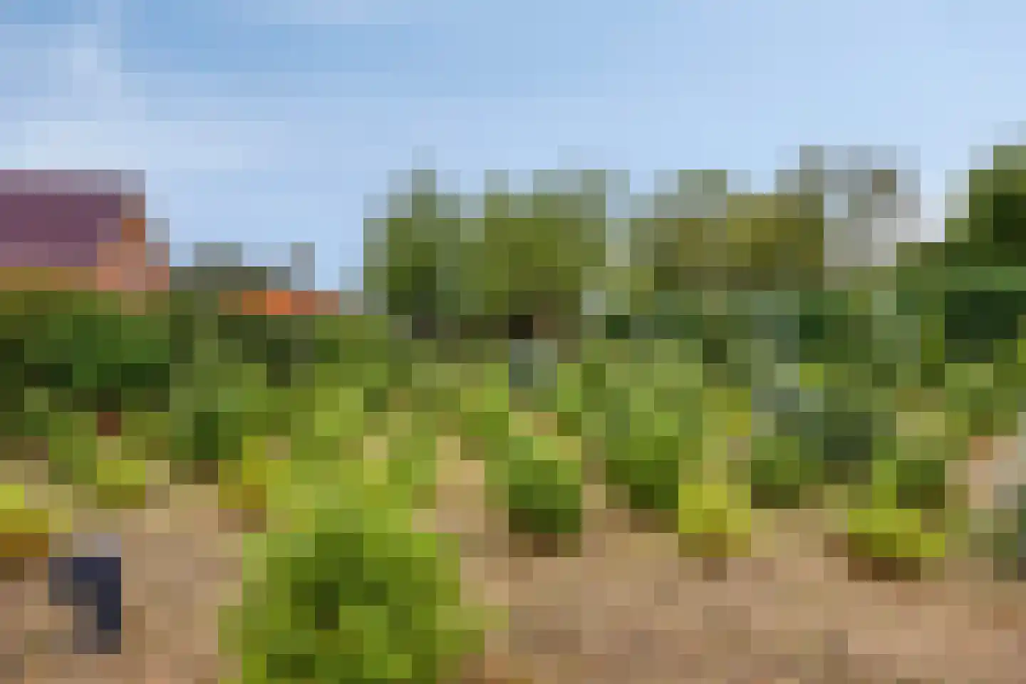 Oisterwijksebaan 9 Tilburg thumbnail 7