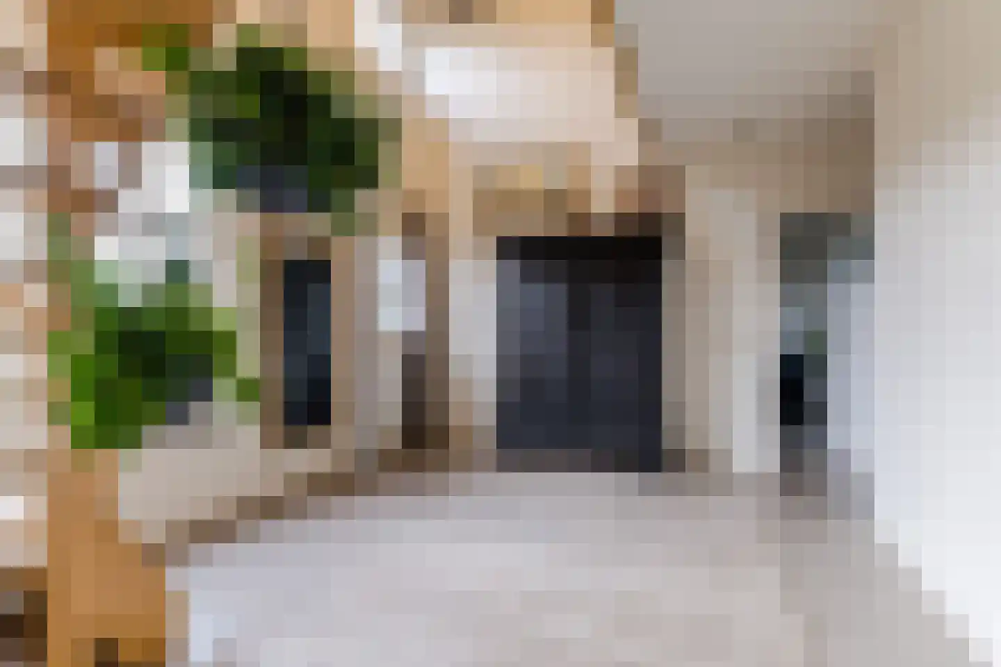 Oisterwijksebaan 9 Tilburg thumbnail 8