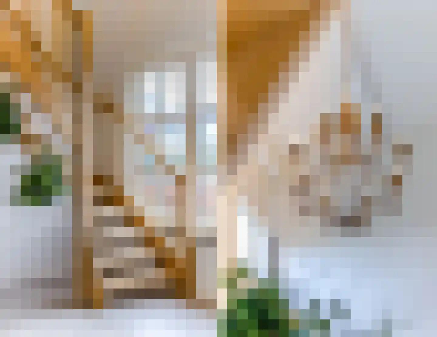 Oisterwijksebaan 9 Tilburg thumbnail 9