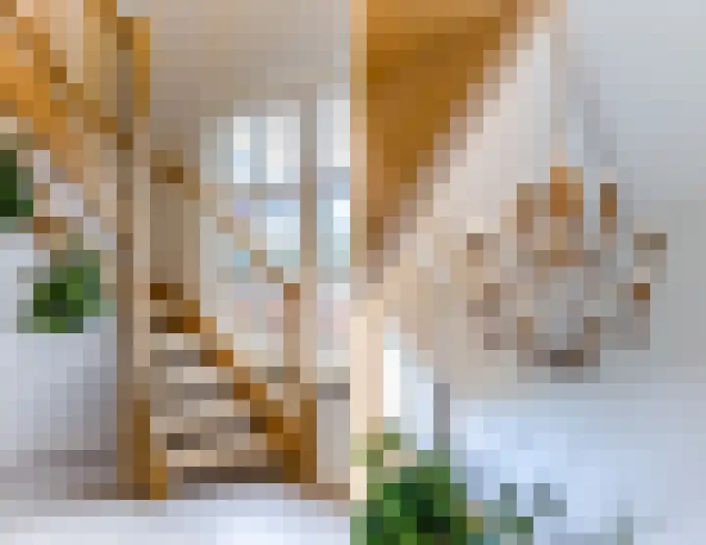 Oisterwijksebaan 9 Tilburg thumbnail 9