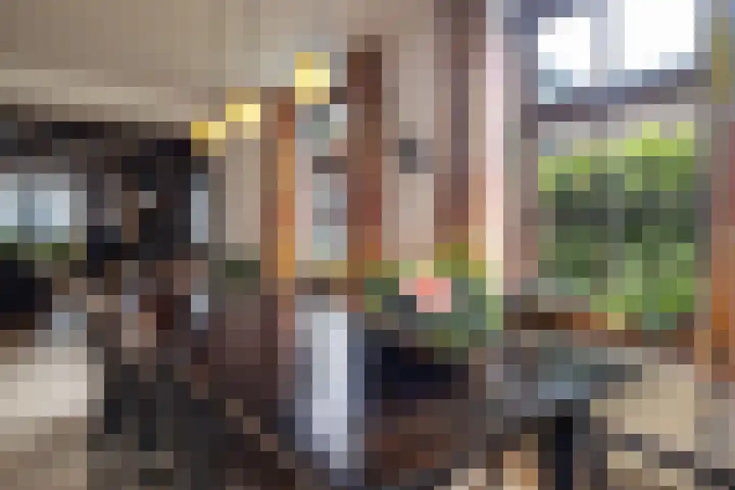 Oisterwijkseweg 22 Moergestel thumbnail 13