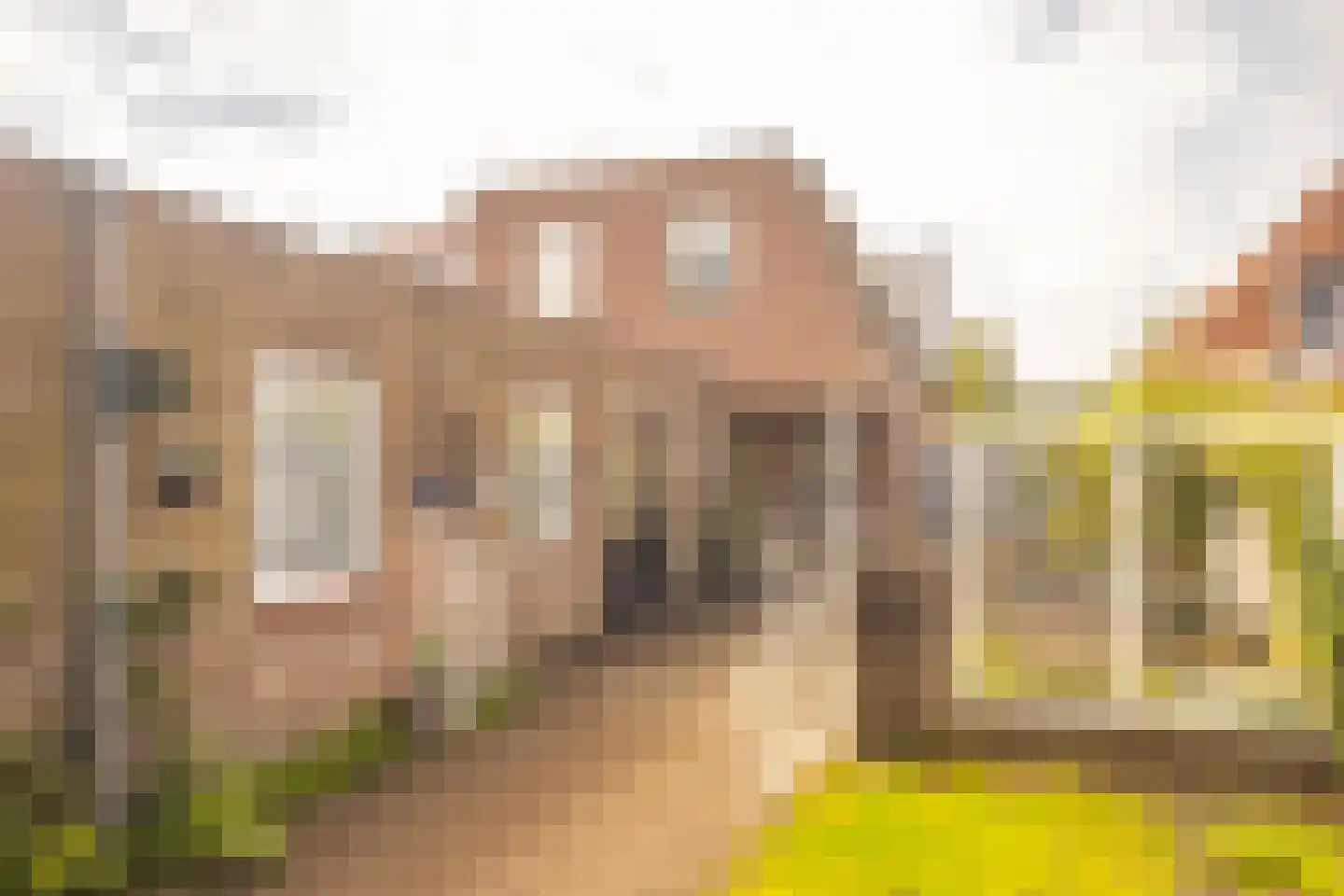 Oisterwijkseweg 22 Moergestel thumbnail 32