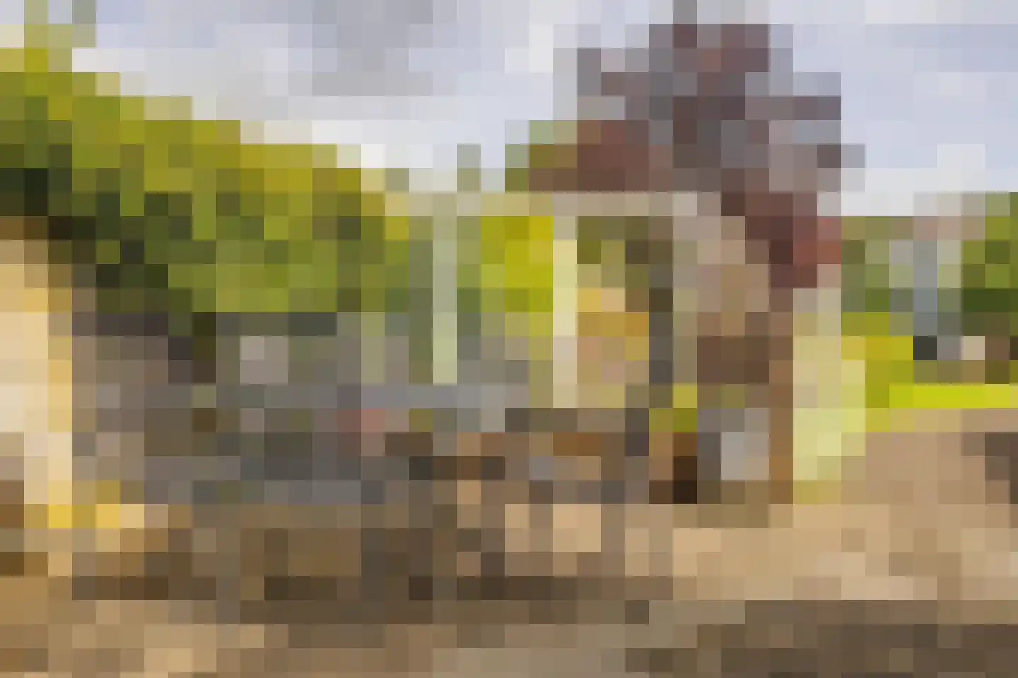 Oisterwijkseweg 22 Moergestel thumbnail 33