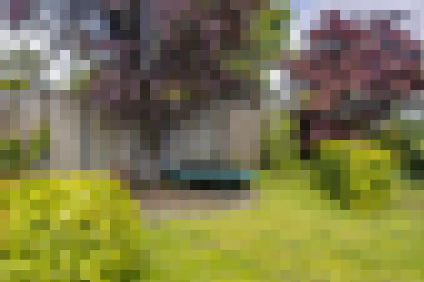Oisterwijkseweg 22 Moergestel thumbnail 35
